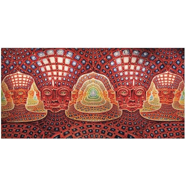アレックス・グレイ 画集「Sacred Mirrors 聖なる鏡」ハードカバー版 聖なる鏡（カード） アレックス・グレイ Sacred Mirrors Cards